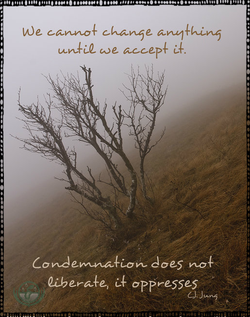 We cannot change anything until we accept it. Condemnation does not liberate, it oppresses. Quote on a poster by Bergen and Associates in Winnipeg